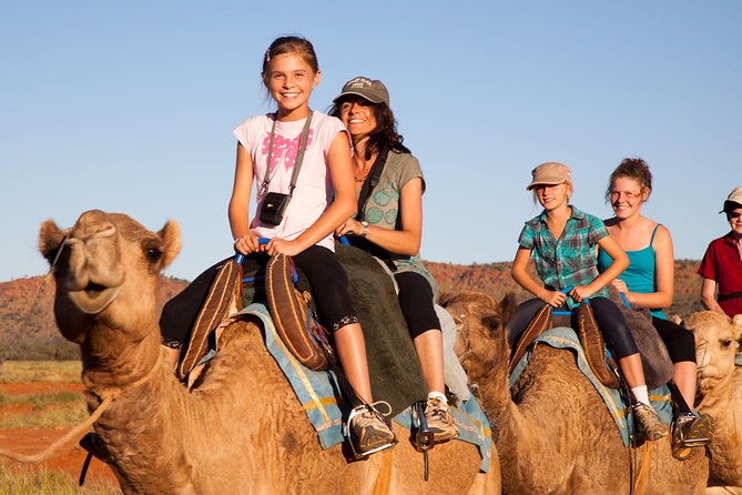Alice Springs Camel Tour - Key things to know before you book