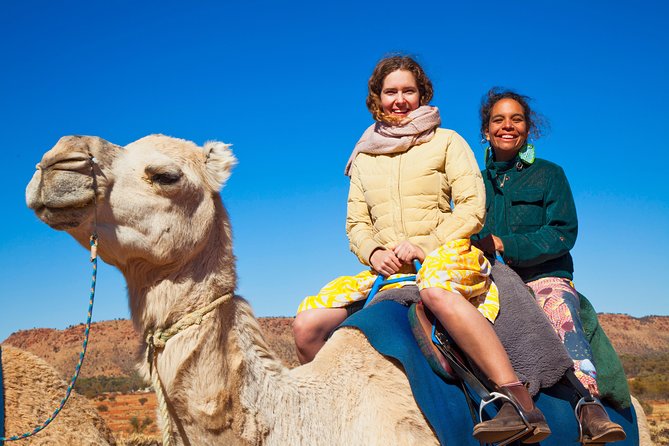 Alice Springs Camel Tour - A short ride into Alice Springs desert country