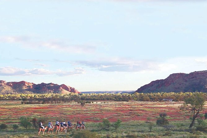 Alice Springs Camel Tour - The Western MacDonnell Ranges photo stop