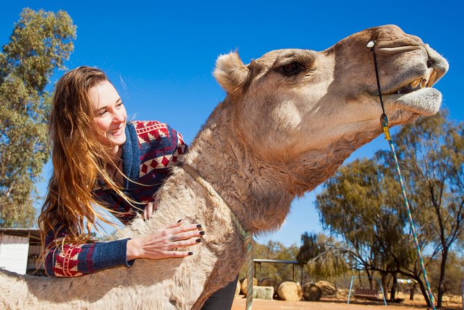Alice Springs Camel Tour - Why the sunset departure is the best choice for many people