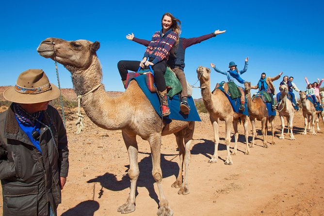 Alice Springs Camel Tour - What the $64.55 price really covers