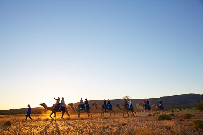 Alice Springs Camel Tour - Practical clothing and comfort advice