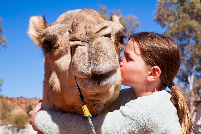 Alice Springs Camel Tour - Meeting the camels before the ride