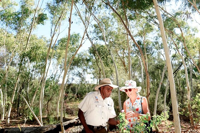 Alice Springs Desert Park General Entry Ticket - Why the Desert Park makes a smart first stop