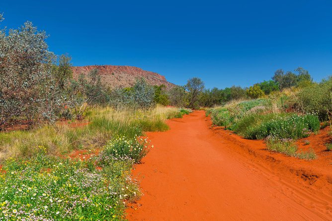 Alice Springs Desert Park General Entry Ticket - Practical planning for the trails and talks