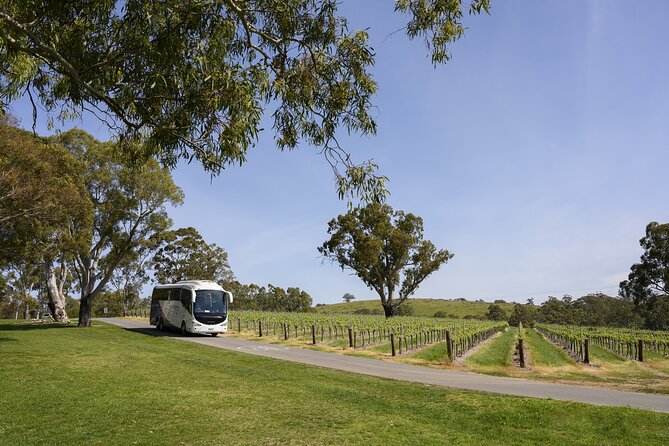 All Inclusive Barossa Valley Food and Wine Tour - Key points at a glance