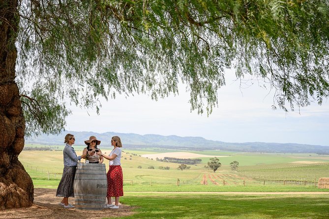 All Inclusive Barossa Valley Food and Wine Tour - What this Adelaide to Barossa day is really like