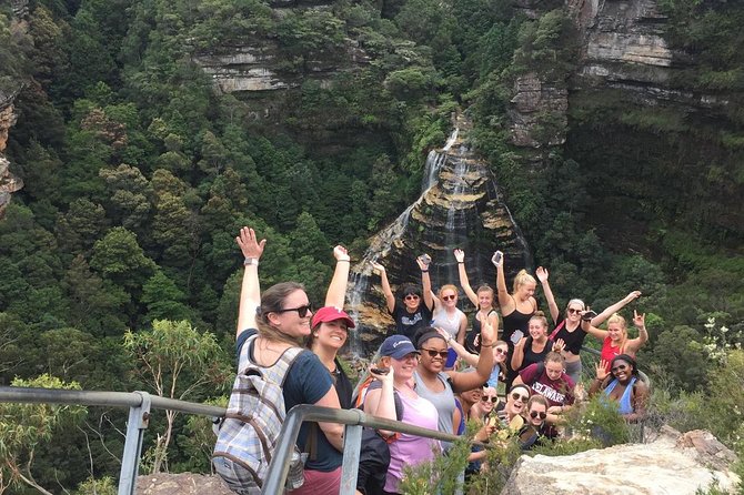 All Inclusive Blue Mountain,Scenic World,Lunch,Koalas,ferry - A sit-down lunch that works for mixed groups