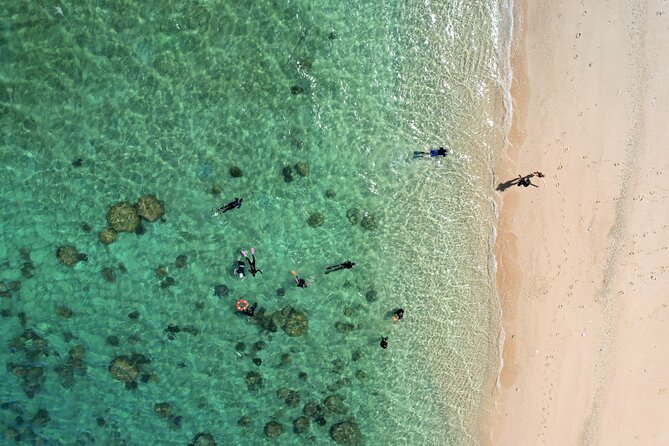 All Inclusive Day Tour to Frankland Islands Great Barrier Reef - The guided island walk is easy to overlook