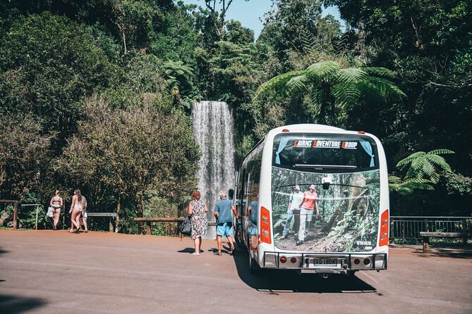 All Inclusive Waterfalls and Rainforest Tour from Cairns - The Cathedral Fig Tree adds a cultural pause