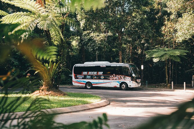 All Inclusive Waterfalls and Rainforest Tour from Cairns - Josephine Falls brings the day to life