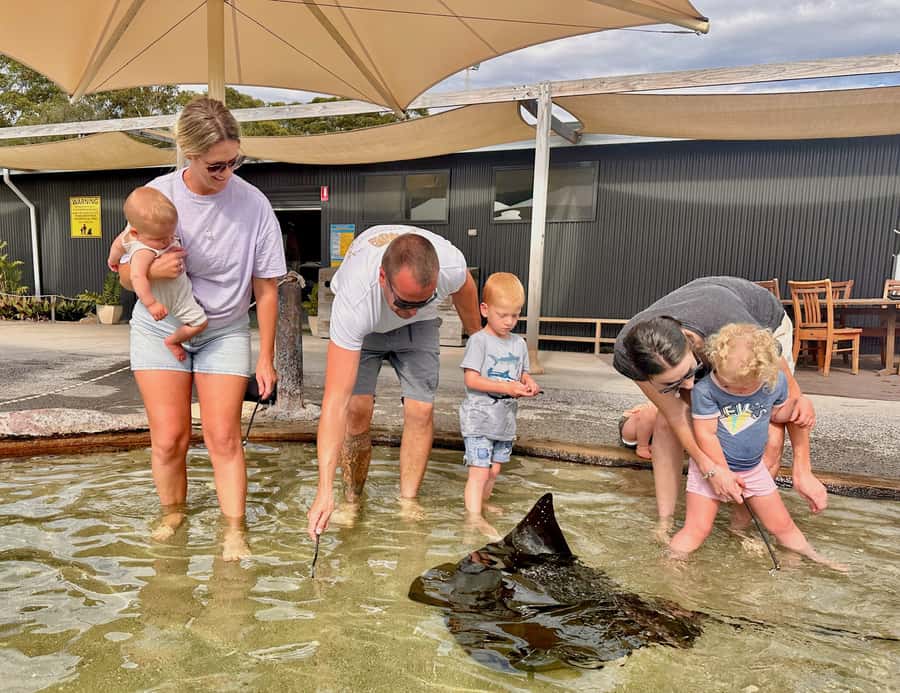 Anna Bay: Irukandji Entry Pass with Shallows Encounter - Key points to know before you go