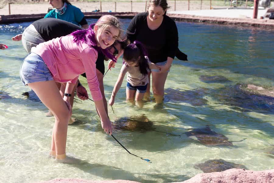 Anna Bay: Irukandji Entry Pass with Shallows Encounter - What makes Irukandji different from an aquarium