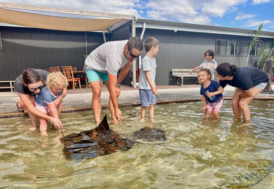 Anna Bay: Irukandji Entry Pass with Shallows Encounter - Fingill Lagoon: rays gliding over your feet