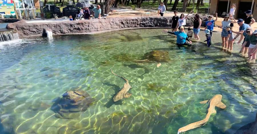 Anna Bay: Irukandji Entry Pass with Shallows Encounter - How long two hours feels