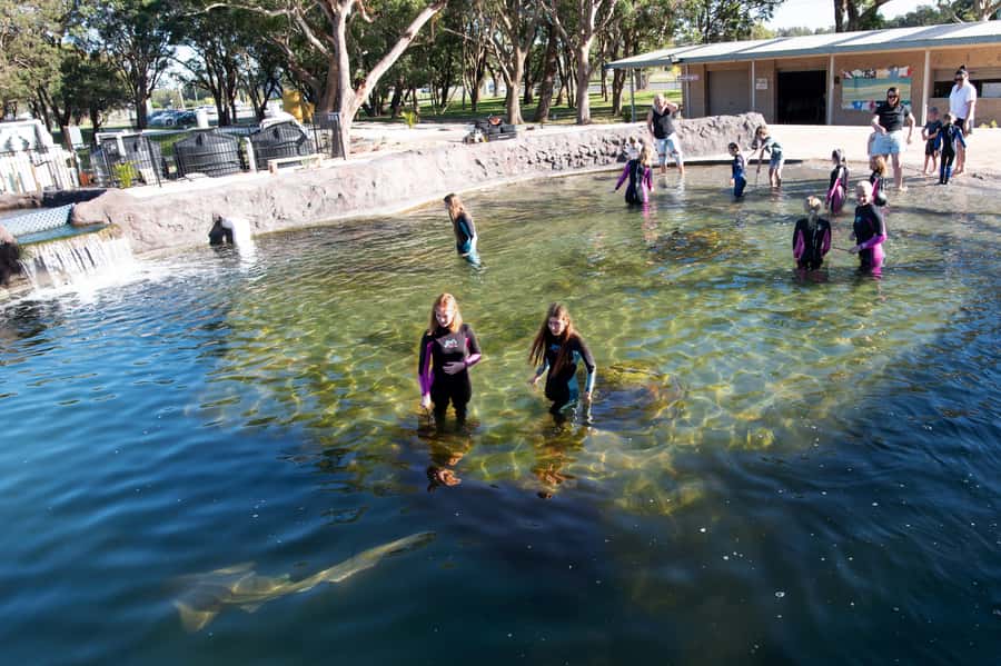 Anna Bay: Irukandji Entry Pass with Shallows Encounter - Who will enjoy this most?