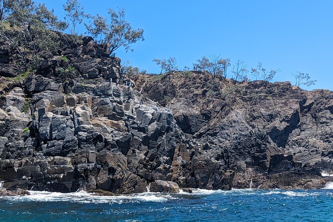 Aquaduck Sunshine Coast - 1hr Mooloolaba Amphibious Tour - Practical details before you go