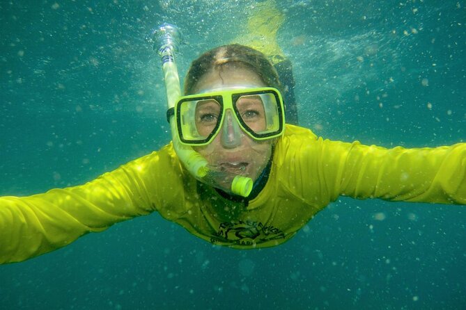 Aquascene Circumnavigation Magnetic Island Tour - What the $114.04 price includes