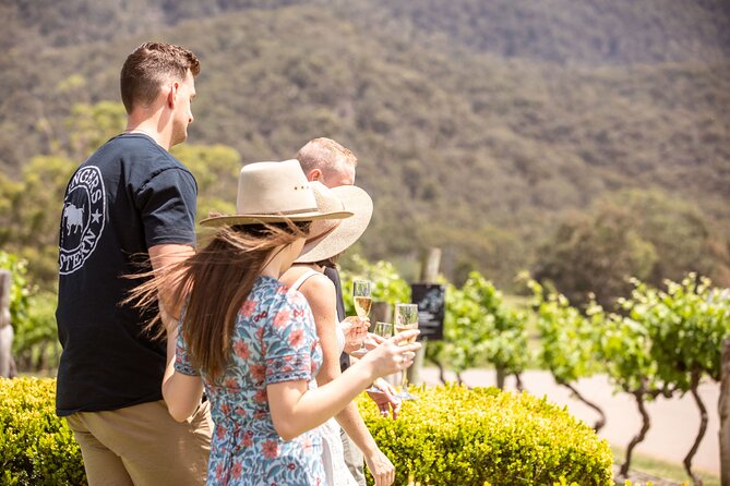 Audrey Wilkinson Vineyard: Picnic with Wine Masterclass Tasting - Is the food and wine package good value at $68.14?