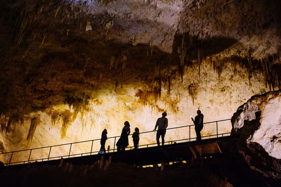 Augusta: Jewel Cave Fully-Guided Tour - The karri forest walk completes the visit