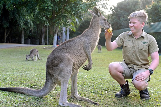 Australia Zoo Day Trip from Brisbane - Key points to know before booking