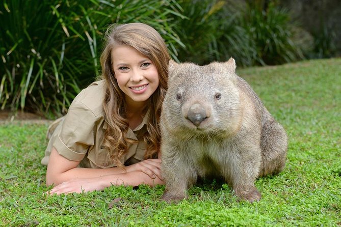 Australia Zoo Day Trip from Brisbane - Why this Brisbane to Australia Zoo trip works