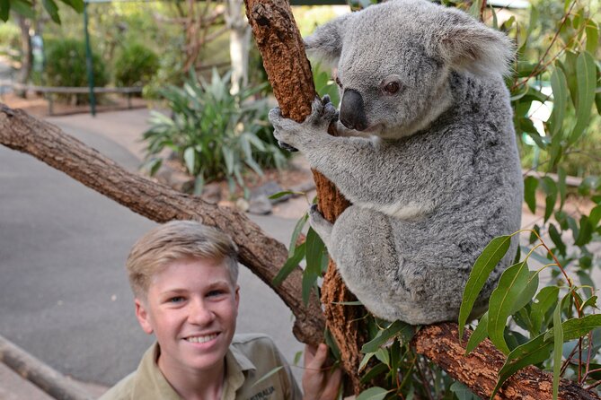 Australia Zoo Day Trip from Brisbane - Getting inside Australia Zoo