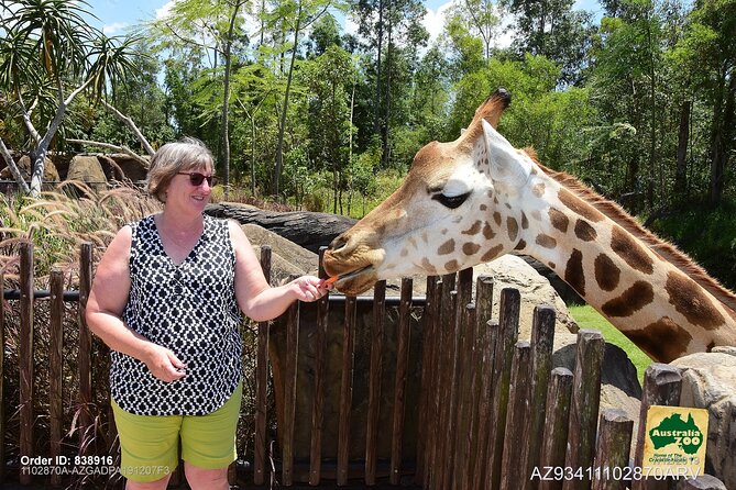 Australia Zoo Day Trip from Brisbane - Kangaroos, koalas, and the best early tip