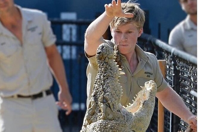 Australia Zoo Day Trip from Brisbane - The Crocoseum show and crocodile focus