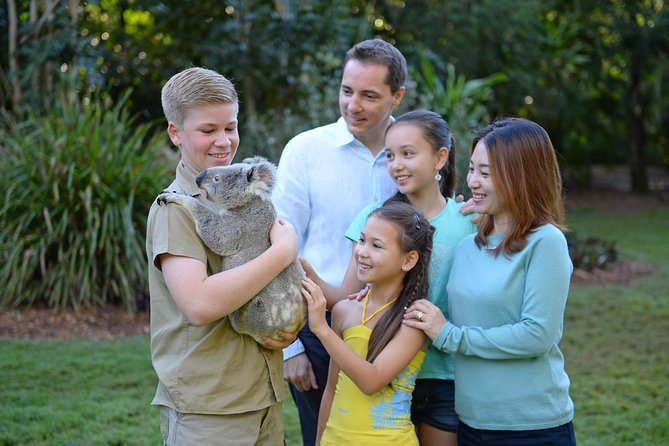 Australia Zoo Day Trip from Brisbane - The Animal Hospital visit