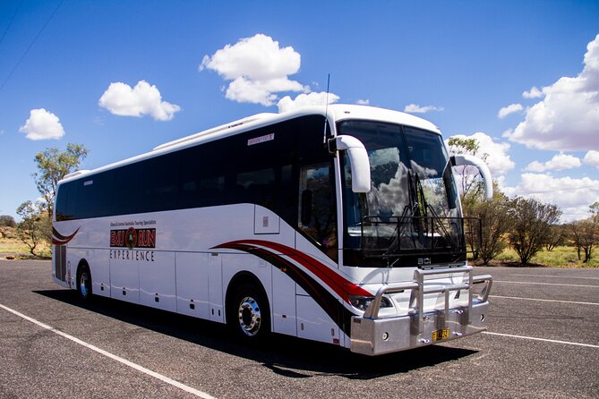Ayers Rock Day Trip from Alice Springs Including BBQ Dinner - The return to Alice Springs after dark