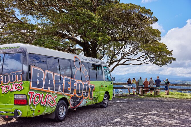 Barefoot Atherton Tablelands Adventure by Cairns Waterfalls - The giant fig tree and rainforest atmosphere