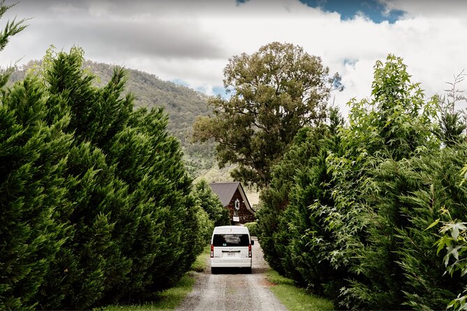 Barefoot Luxury Mount Tamborine Winery Tour from Brisbane - Witches Falls Winery gives the day its best wine focus