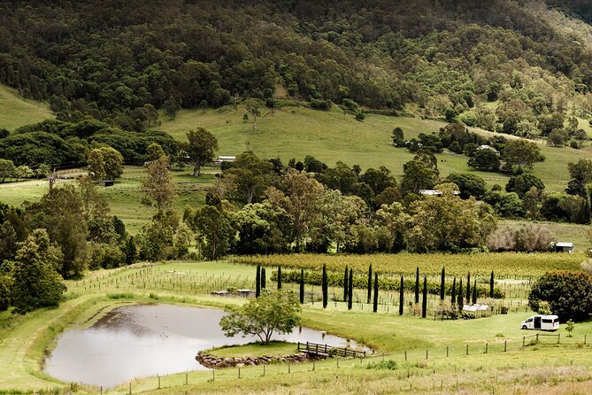 Barefoot Luxury Mount Tamborine Winery Tour from Brisbane - Lunch at a scenic hotel is a real part of the value