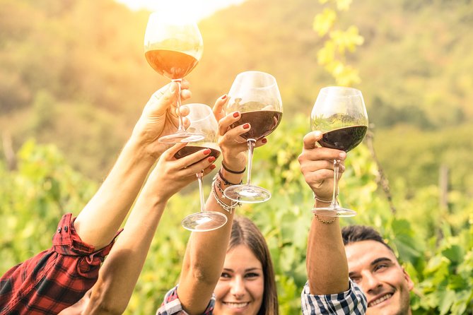 Barossa Valley Cellar Door Small Group Tour - Why this Barossa day trip works from Adelaide