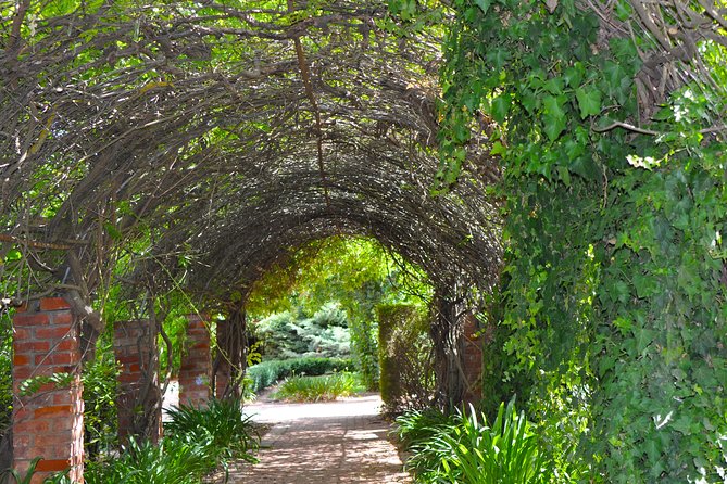 Barossa Valley Cellar Door Small Group Tour - Rusden Wines, traditional Barossa methods