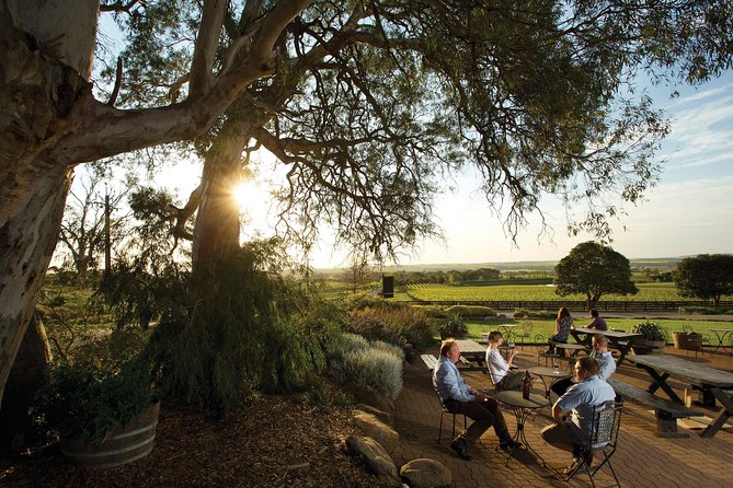 Barossa Valley Hop-On Hop-Off Wine Tour - The guides make a real difference