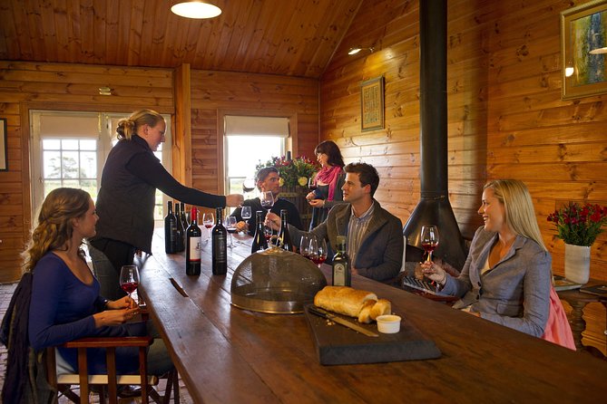 Barossa Valley Hop-On Hop-Off Wine Tour - Who will get the most from this tour