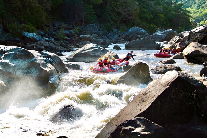 Barron Gorge White Water Rafting from Cairns or Port Douglas - Quick facts about the Barron River trip