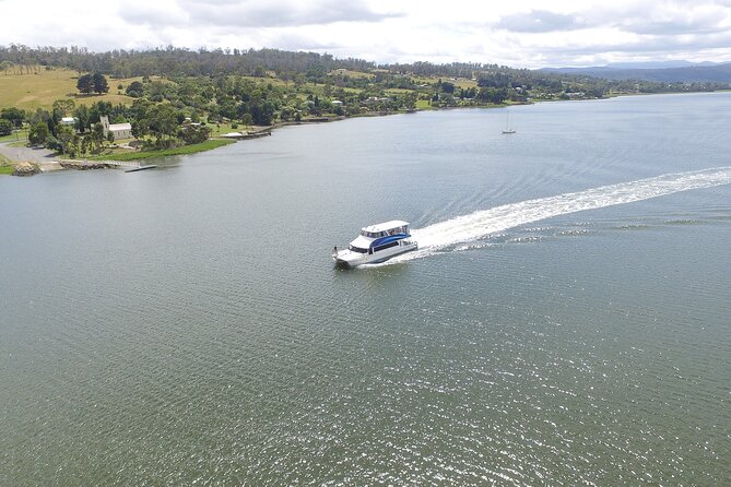 Batman Bridge 4 Hour Luncheon Cruise including sailing into the Cataract Gorge - The Tamar Valley, Wildlife, and Rural Views