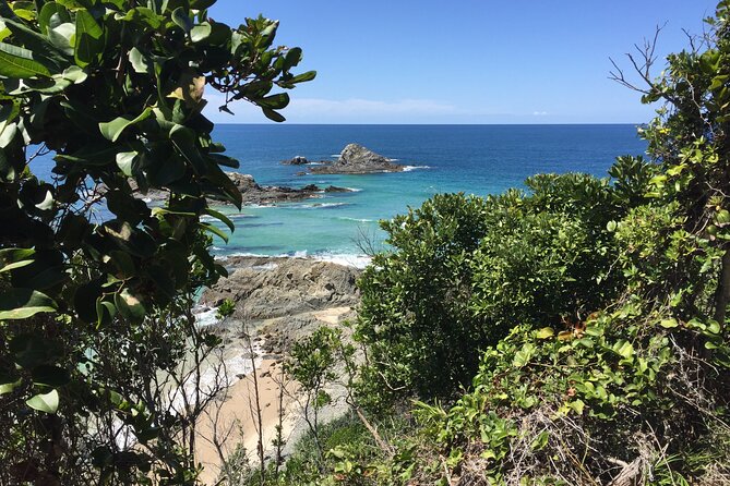 Behind The Bay - Explore Like a Local: Waterfalls/paddleboarding - Killen Falls: A Pretty Stop With a Real Footpath