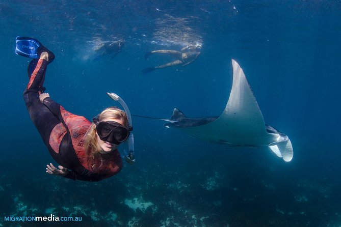 Best of Ningaloo Mantas and More - What the $251.04 price really buys