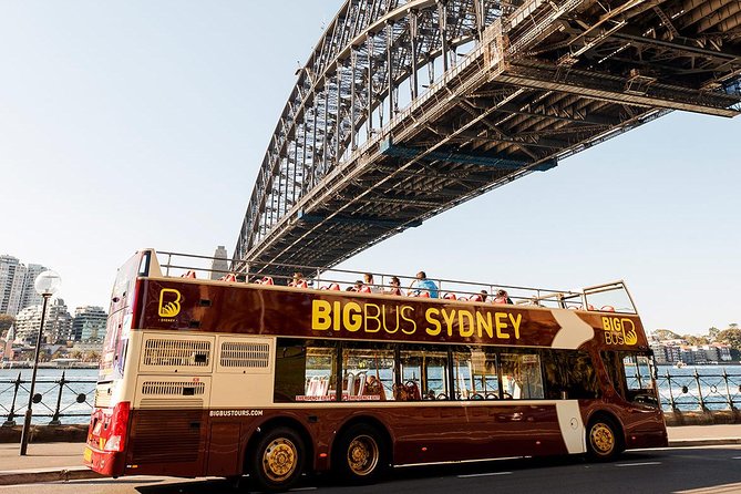 Big Bus Sydney and Bondi Hop-on Hop-off Tour - Take the blue route to Bondi Beach