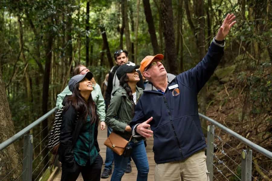 Blue Mountain Small Group Scenic World, Wildlife, Waterfall - Key points at a glance