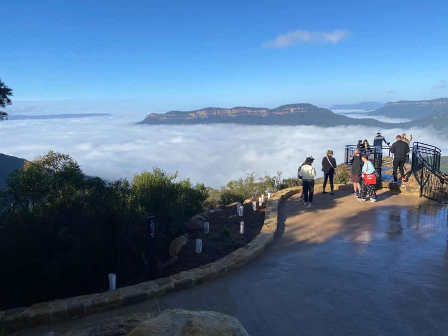 Blue Mountain Small Group Scenic World, Wildlife, Waterfall - Price, comfort, and who should book