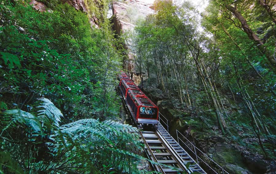 Blue Mountain Small Group Scenic World, Wildlife, Waterfall - Returning by ferry along the Parramatta River