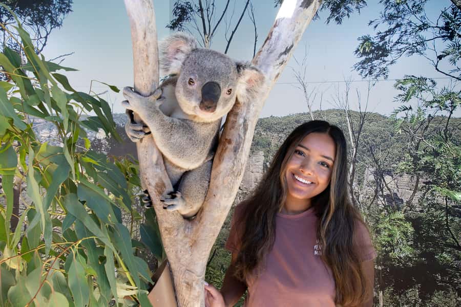 Blue Mountains Adventure: Scenic World, Zoo & Koala Photo - Cahill’s Lookout offers a calmer view