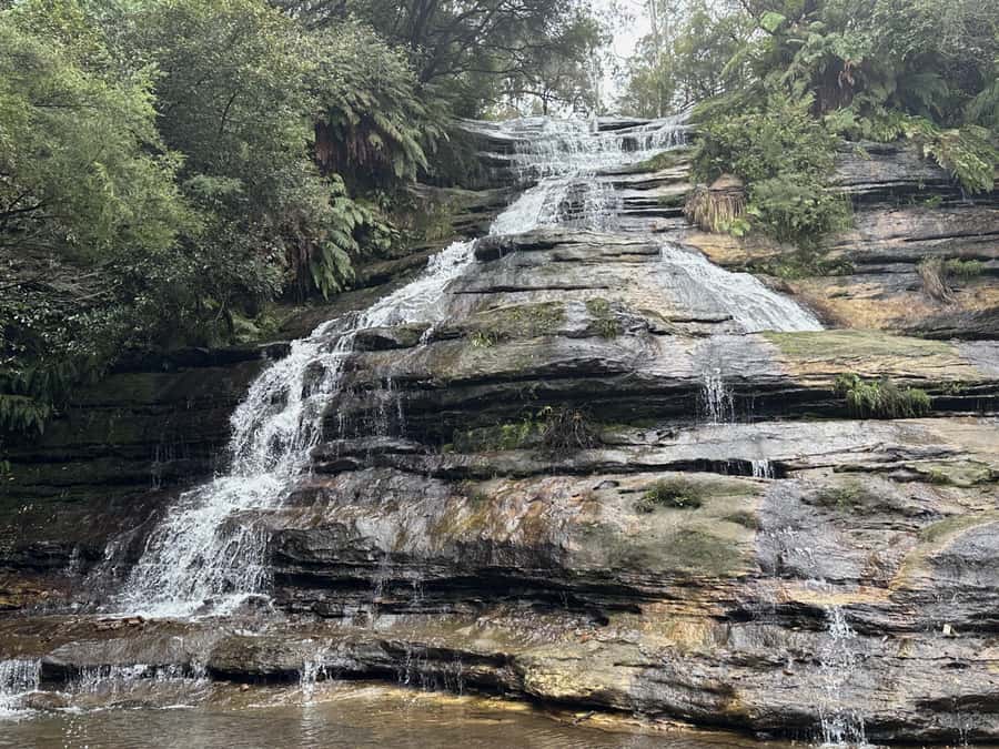Blue Mountains Adventure: Scenic World, Zoo & Koala Photo - The ferry back to Circular Quay is a smart finish