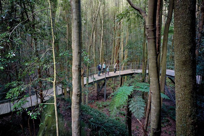 Blue Mountains Adventure w Scenic World, Zoo, Koala Photo & Ferry - Glenbrook gives the morning a gentle start