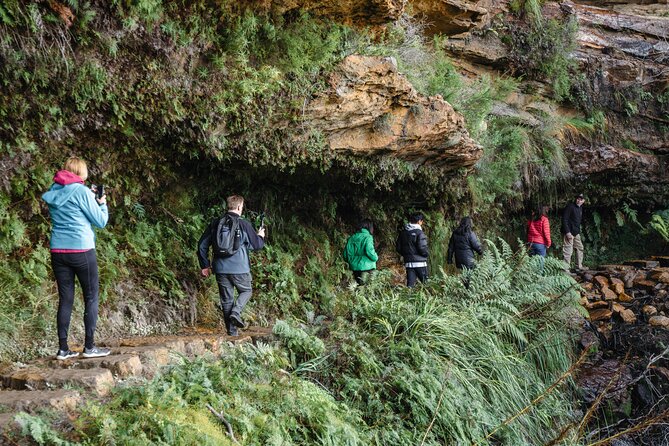 Blue Mountains Day Tour With Bushwalks, Waterfalls & Featherdale - Echo Point, Jamison Valley, and the Three Sisters